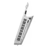 Sinte Roland Ax Edge De 49 Teclas | Keyguitar