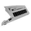 Sinte Roland Ax Edge De 49 Teclas | Keyguitar