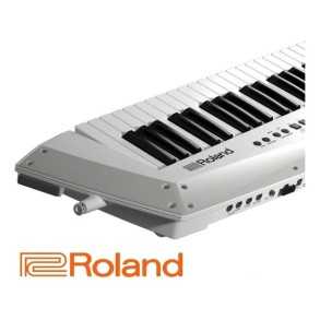 Sinte Roland Ax Edge De 49 Teclas | Keyguitar