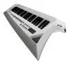 Sinte Roland Ax Edge De 49 Teclas | Keyguitar
