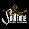 Hi Hat Soultone De 15 Pulgadas | Extreme Wave