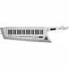 Sinte Roland Ax Edge De 49 Teclas | Keyguitar