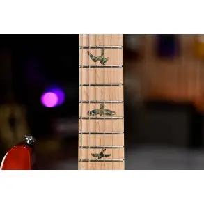 Guitarra Eléctrica PRS SE Swamp Ash Special | Vintage Sunburst | Paul Reed Smith