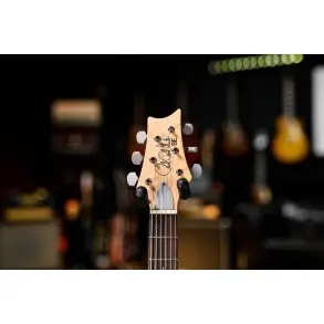 Guitarra Eléctrica PRS SE Silver Sky | Color Black | Paul Reed Smith
