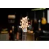 Guitarra Eléctrica PRS SE Silver Sky | Color Black | Paul Reed Smith