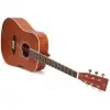 Guitarra Acustica Dreadnought Tapa Tilo Brown