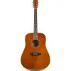 Guitarra Acustica Dreadnought Tapa Tilo Brown Brillante