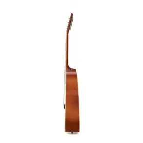 Guitarra Acustica Dreadnought Tapa Tilo Natural Brillante