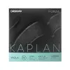 Encordado Daddario Tensión Media Para Viola De 16" Long | Kaplan