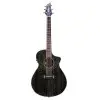 Guitarra Electro Acustica Breedlove RFSC11CEBG