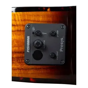 Guitarra Electro Acustica Breedlove PESC88CEED