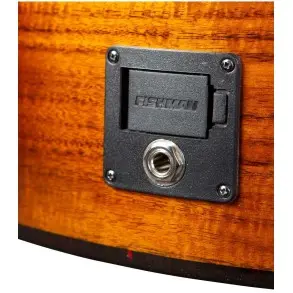 Guitarra Electro Acustica Breedlove PESC88CEED