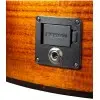 Guitarra Electro Acustica Breedlove PESC88CEED
