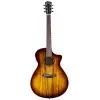 Guitarra Electro Acustica Breedlove PESO66CETE