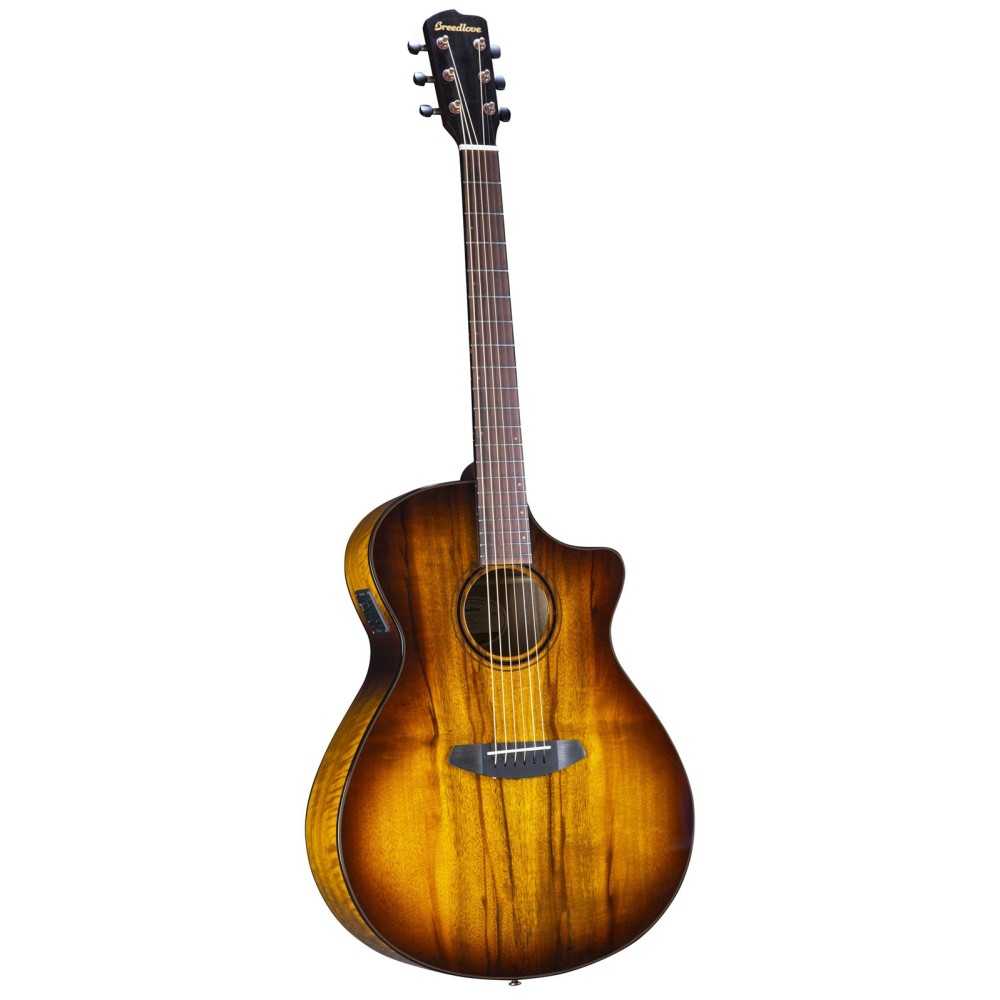 Guitarra Electro Acustica Breedlove PESO66CETE