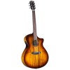 Guitarra Electro Acustica Breedlove PESC66CETE