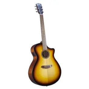 Guitarra Electro Acustica Breedlove DSSO21CEED2