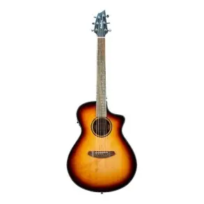 Guitarra Electro Acustica Breedlove DSSC21CEED2