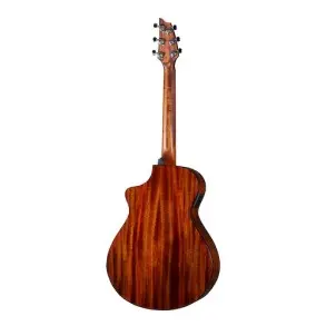 Guitarra Electro Acustica Breedlove DSSC21CEED2