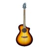 Guitarra Electro Acustica Breedlove DSSC31CEED