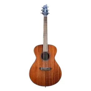 Guitarra Acustica Breedlove DSSC11