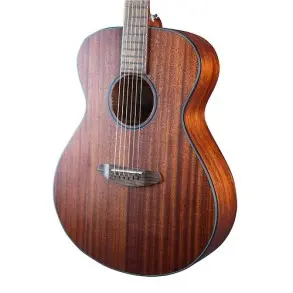 Guitarra Acustica Breedlove DSSC11
