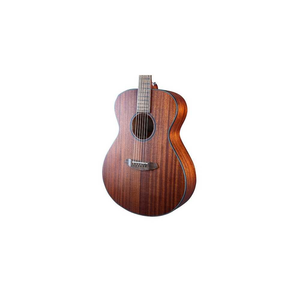 Guitarra Acustica Breedlove DSSC11