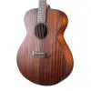 Guitarra Acustica Breedlove DSSC11