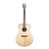 Guitarra Acustica Breedlove DSSO212
