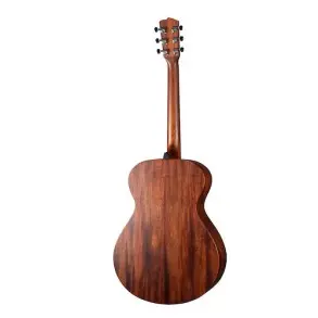 Guitarra Acustica Breedlove DSSO212