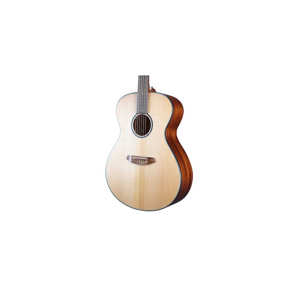 Guitarra Acustica Breedlove DSSO212