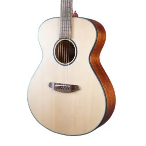 Guitarra Acustica Breedlove DSSC212
