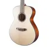 Guitarra Acustica Breedlove DSSC212