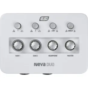 Placa De Audio ESI NEVADUO 2x2