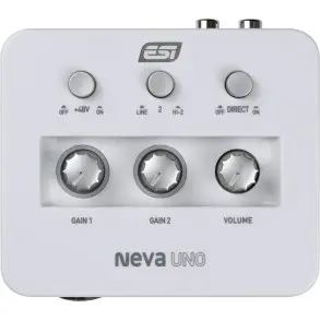Placa De Audio ESI NEVAUNO 2x2
