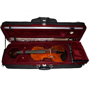Violin Profesional Stradella 4/4 MV1419 Estuche con Higrometro