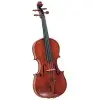 Violin Profesional 4/4 Maple Flameado con Encordado Daddario y Estuche Deluxe