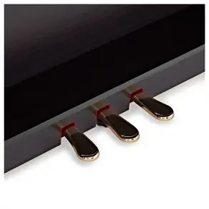 Piano Digital Con Mueble Kawai CN301 Bluetooth Negro