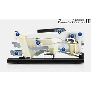 Piano Digital Con Mueble Kawai CN-201R Rosewood Bluetooth