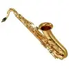 Saxo Tenor Yamaha YTS480