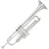 Trompeta Yamaha YTR4335GSII