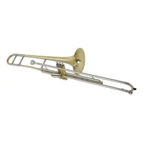 Trombon A Piston Bach Vt501dir Con Estuche