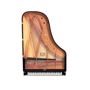 Piano Acustico de cola Yamaha C7XPE