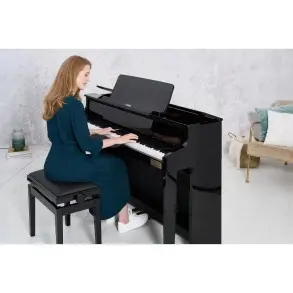 Piano Digital con Mueble CASIO GP-510BP