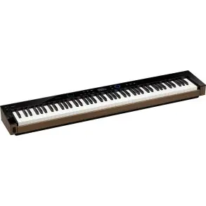 Piano Digital De 88 Teclas CASIO PX-S6000 Privia Bluetooth Color Negro