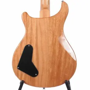 Guitarra Eléctrica Prs Se Pauls Guitar Con Funda Deluxe Pg PGFE