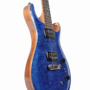 Guitarra Eléctrica Prs Se Pauls Guitar Con Funda Deluxe Pg PGFE