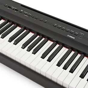 Piano Digital Yamaha P125 A B 88 Teclas pesadas 24 Sonidos color negro