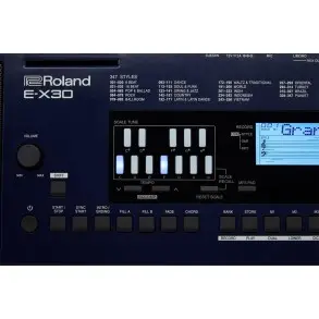 Teclado Avanzado Roland Ex30 Arranger De 61 Teclas