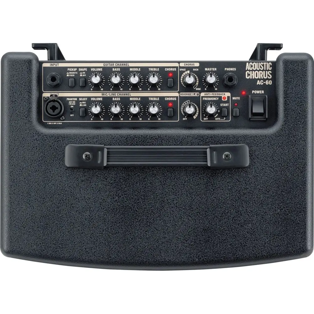 Amplificador Guitarra Acustica Roland AC60D Color Negro